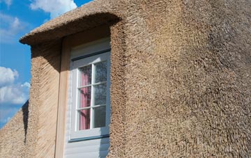 Snitter thatch roof disadvantages