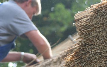 professional Snitter thatchers